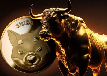 Shiba Inu SHIB burn bull