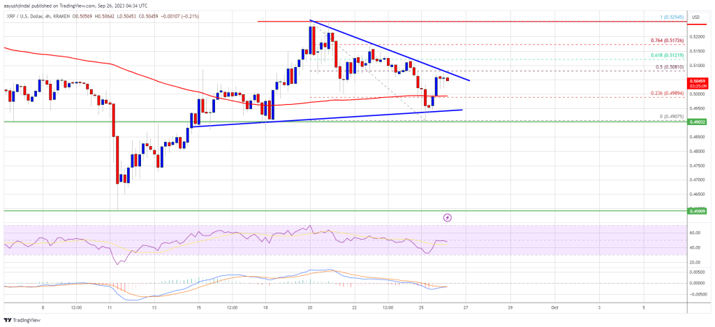 XRP Price Prediction