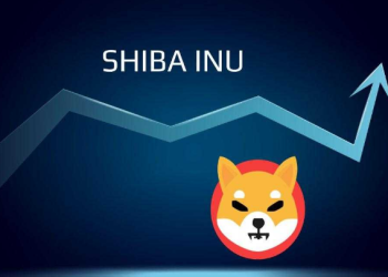 Shiba Inu