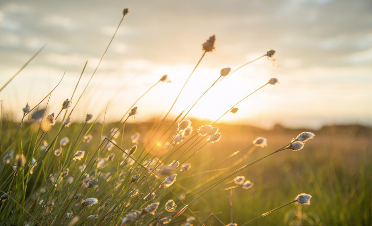 Ethereum Set For Spring Highs After Correction: Top Analyst Ethereum Set For Spring Highs After Correction: Top Analyst