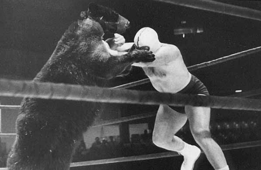 Toncoin Shatters Bearish Predictions With 40% Rally