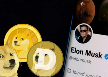 elon musk X Twitter Dogecoin