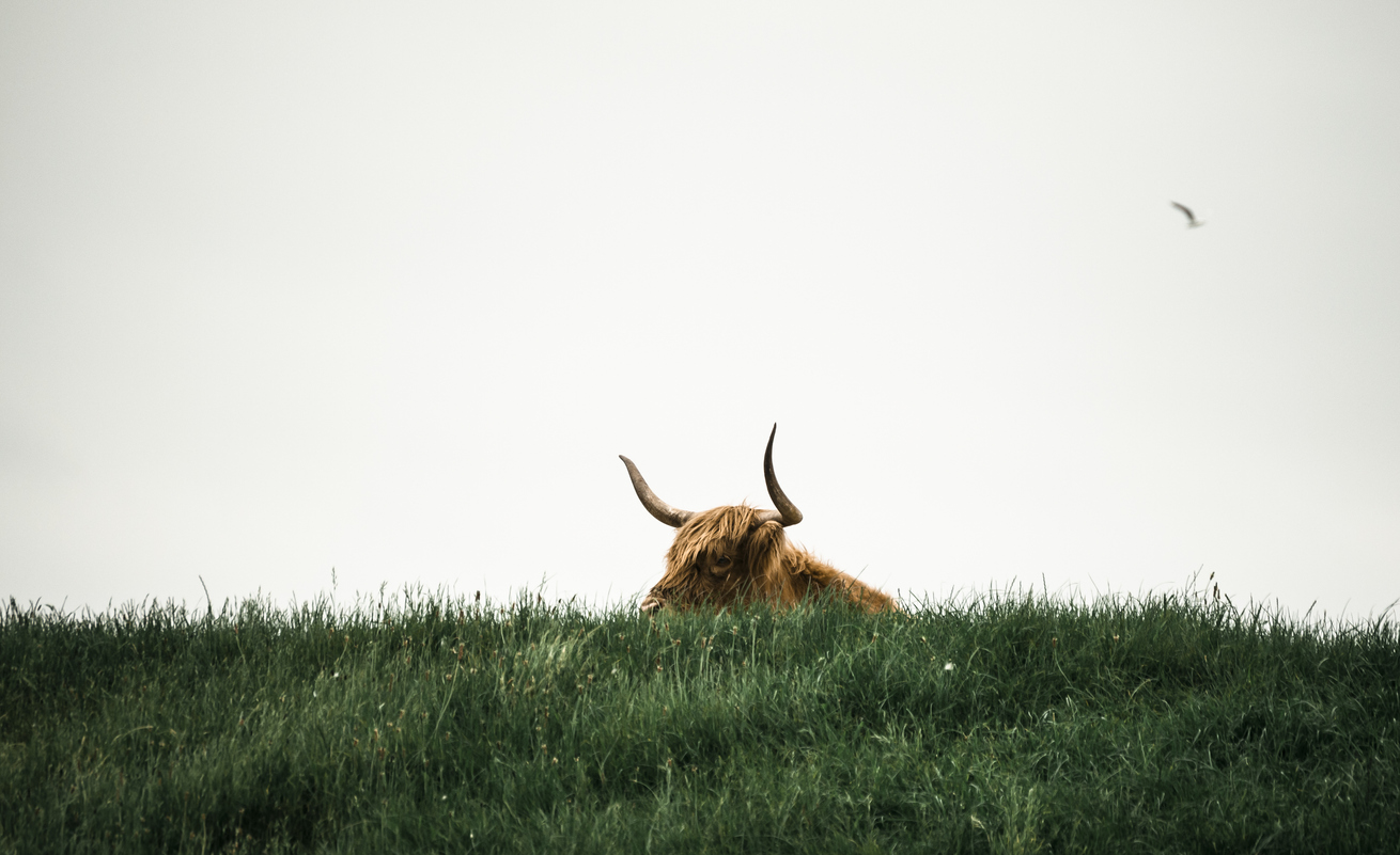 Is Bitcoin Forming A Double Bottom? What Needs To Happen Is Bitcoin Forming A Double Bottom? What Needs To Happen