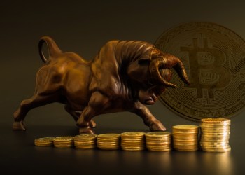 Bitcoin Bull