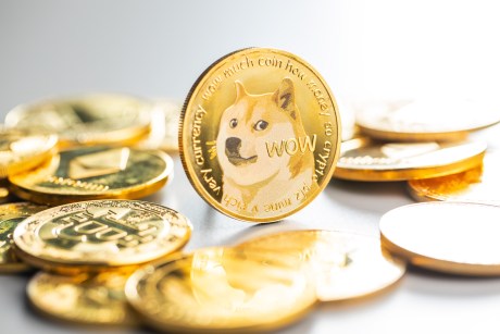 Dogecoin Price Prediction for 2023, 2024, 2025, 2030 & Beyond
