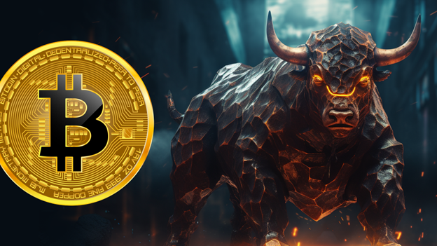 Bitcoin bull