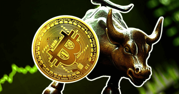 Bitcoin price bull