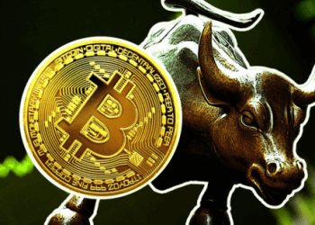 Bitcoin price bull
