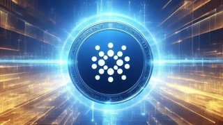 Cardano Whale Addresses Continue To Fall, What Does This Mean For ADA Price?