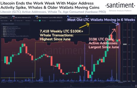 Litecoin-Wale sind zurück im Spiel, kann der Preis 100 $ erreichen?