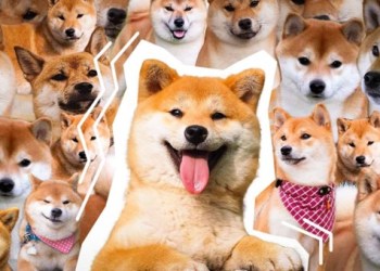 Who Will Lead Memecoin Race Dogecoin (DOGE), Shiba inu (SHIB), or Floki Inu (FLOKI)?  – Experts With Price Forecast For End Of 2023