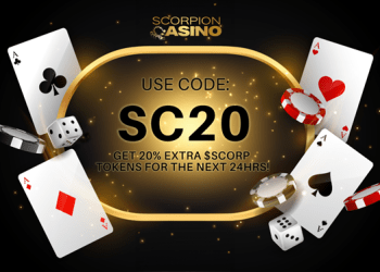 Is A Bull Run Finally Coming? Here Are The Top Cryptos To Watch in 2024