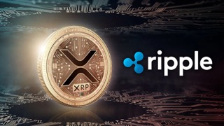 Pro-XRP Legal Expert Shares Expectations If SEC Wins Appeal Against Ripple Pro-XRP Legal Expert Shares Expectations If SEC Wins Appeal Against Ripple