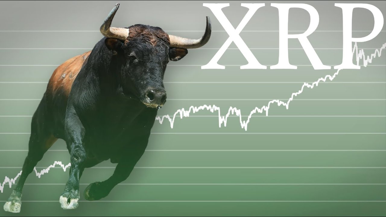 Ripple XRP price bull