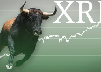 Ripple XRP price bull