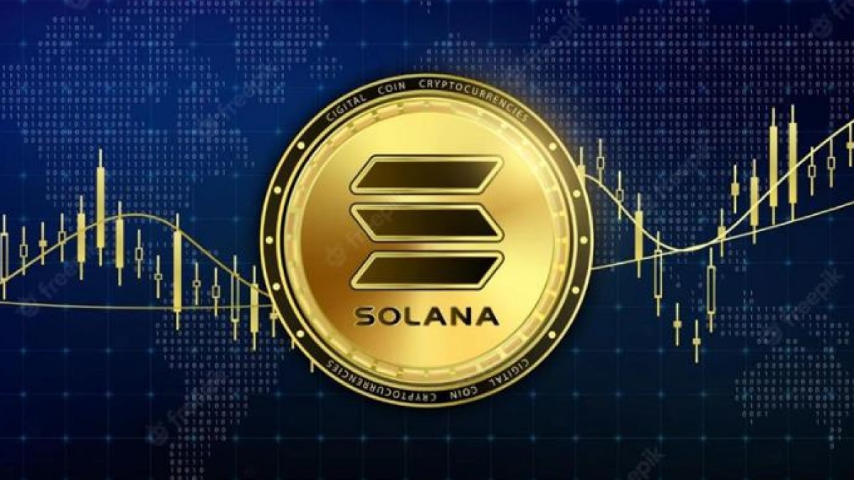 Solana institutional investors