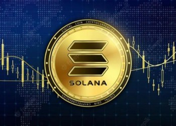Solana institutional investors