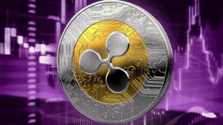 XRP Small