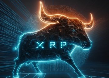 XRP bull