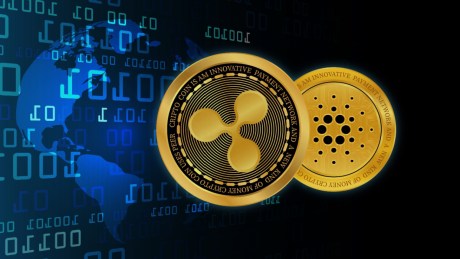 XRP Price Crosses $0.53 But These Factors Suggests Rally Is Far From Over