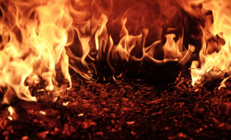 Shiba Inu Burn Rate Takes A Steep Dive: 91% Decrease In 24 Hours