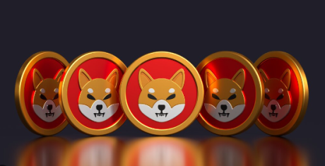 New SHIB-Based Token On The Way? Shiba Inu Team Member Shares Important Update