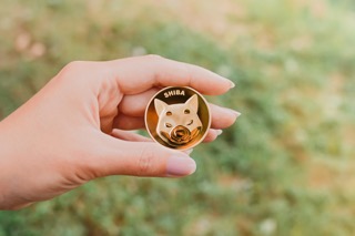 Shiba Inu SHIB