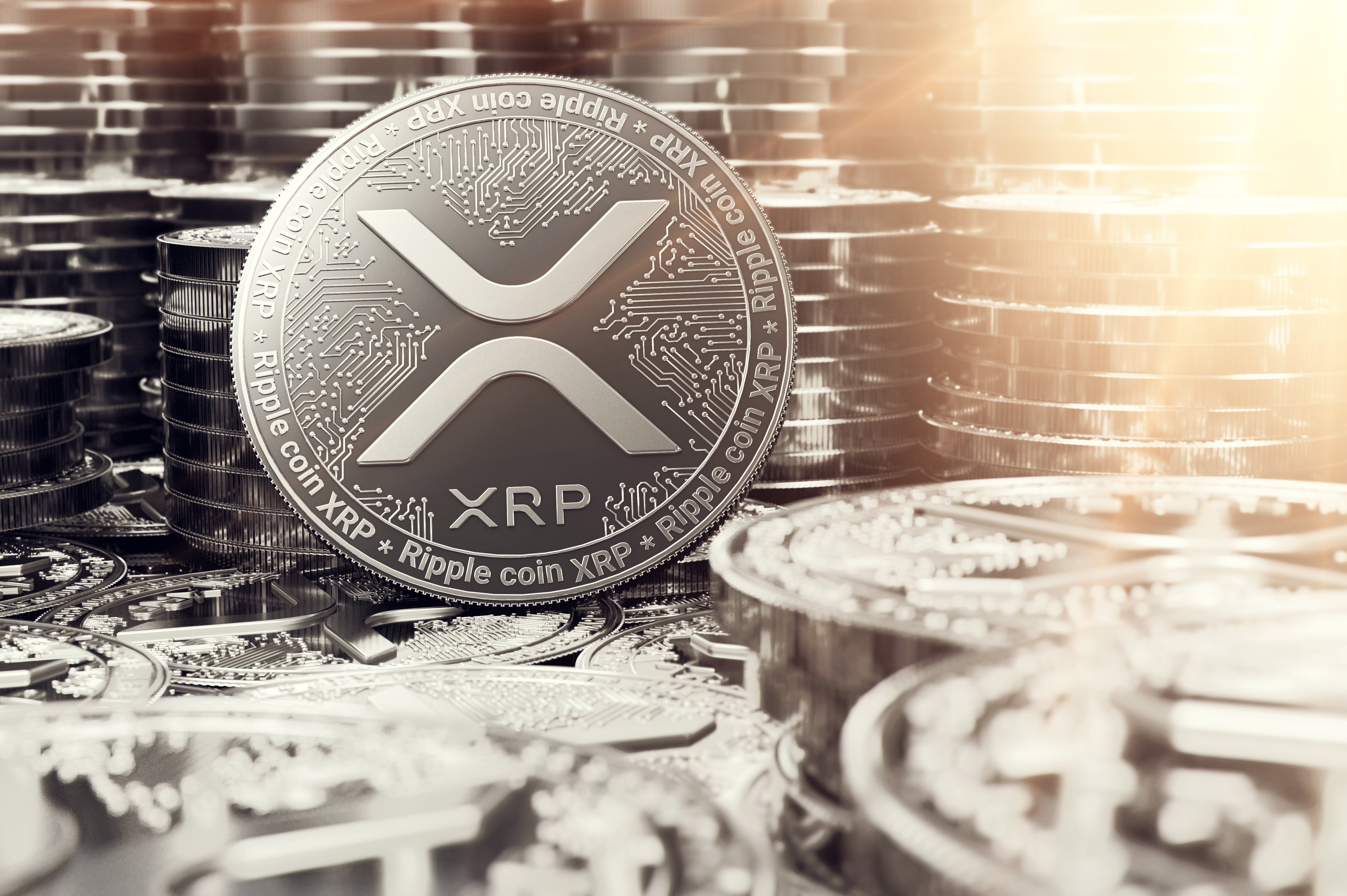 XRP price