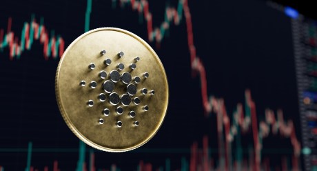 Cardano To Shed Its Gains? Profit-Taking Spikes To High Levels