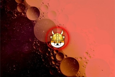 Floki Inu (FLOKI) Claps Back: Counters Bitget’s Claim Of Breaching 7-Day Listing Deadline