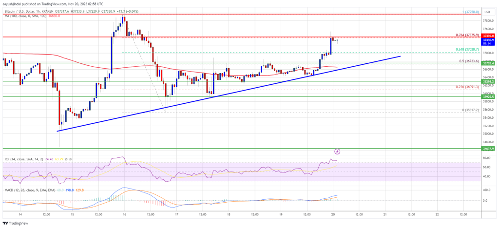 Bitcoin price
