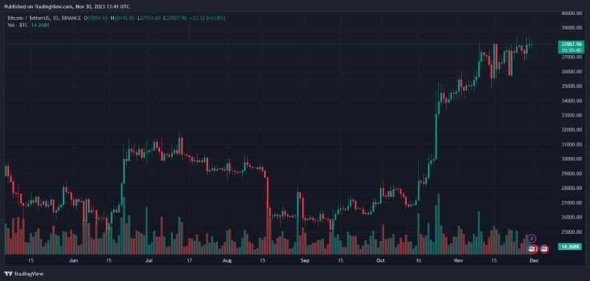 Bitcoin Whales Ready To Push Price Above $40,000? Data Throws Clues