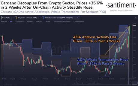Cardano reproduira-t-il la montée en puissance de Solana ? Un analyste révèle des similitudes pour une hausse de 80 % - La Crypto Monnaie