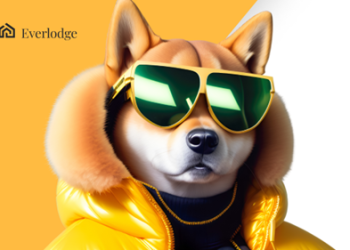 Coins That Can Top the Crypto Chart in 2023 According To Reddit: Shiba Inu, Everlodge, TRON