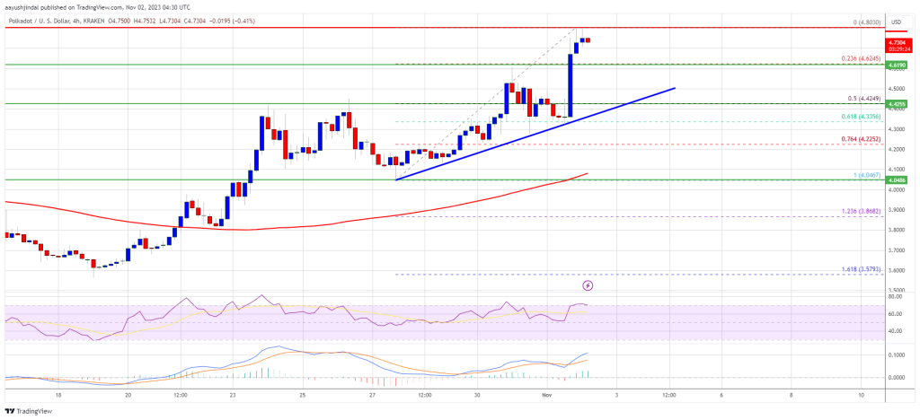 DOT Price (Polkadot) Surge to $5.5 – Are Bulls Ready For This?