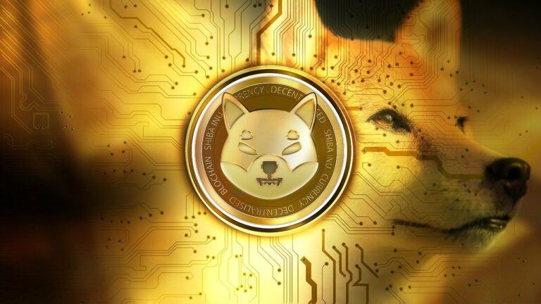 Shiba Inu volume Gains momentum Shiba Inu volume Gains momentum