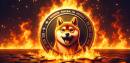 Shiba Inu Shibarium burn