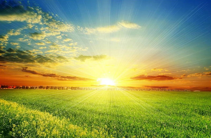 Altcoin Delight: Solana Balloons To 50%, Nearly Triples In A Month – Here’s Why