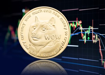 Dogecoin Netflix Rinsch