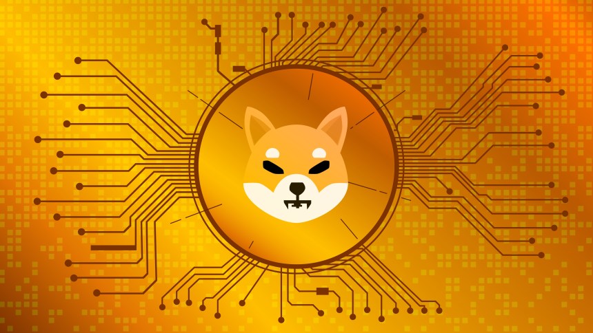 Shiba inu