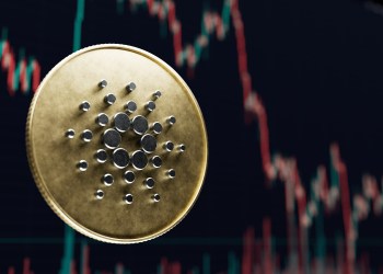Cardano ADA price Midnight devnet
