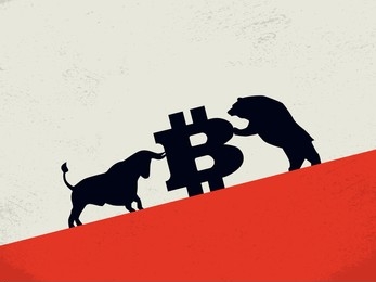 Bearish Divergence? Bitcoin Price Rises, But Network Growth Sends Warning Signals