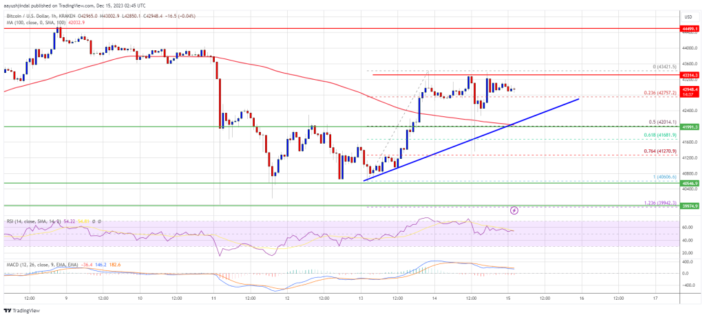 Bitcoin Price