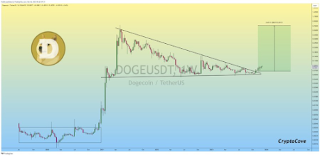 Dogecoin rally