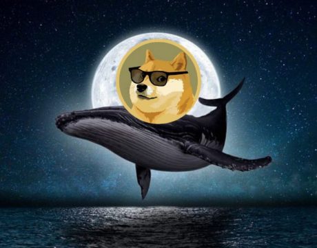 Dogecoin Whale Moves 71 Million DOGE To Robinhood, What Does This Mean For Price?