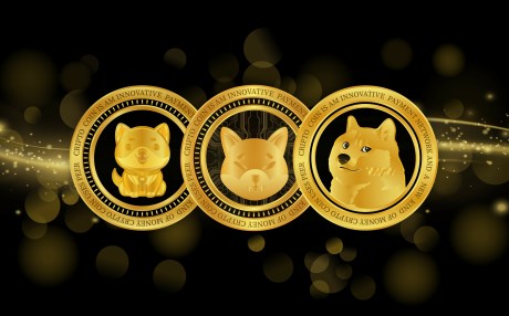Solana-Based Meme Coin Outperforms Dogecoin, Shiba Inu To Become 3rd-Largest
