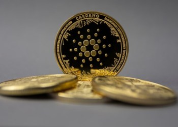 Explosive Growth for Cardano Expected by 2024; Whales Flock to Arweave & InQubeta