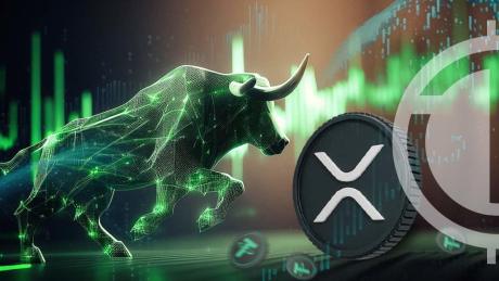 Analyst Places XRP As The Top Coin For The 2024-2025 Bull Run