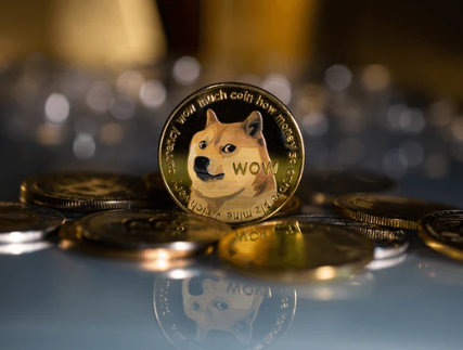 $10 Million Worth Of Dogecoin Exit Robinhood