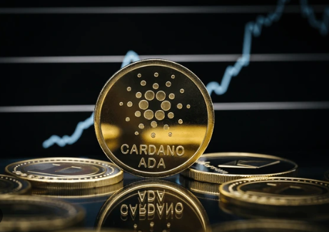 Cardano Profit Surge: 1.7 Million Addresses Hit 2-Year High
